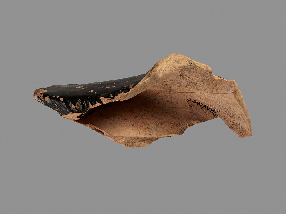 One fragment of a Duck Askos by Clusium Group