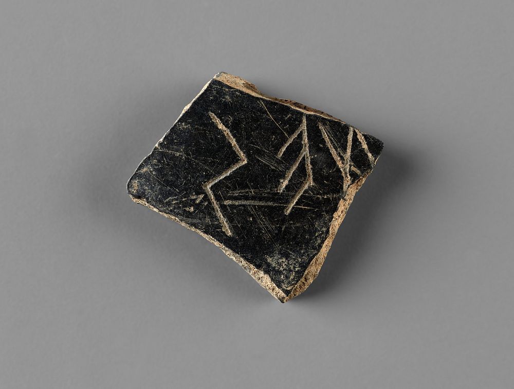 Cup Fragment