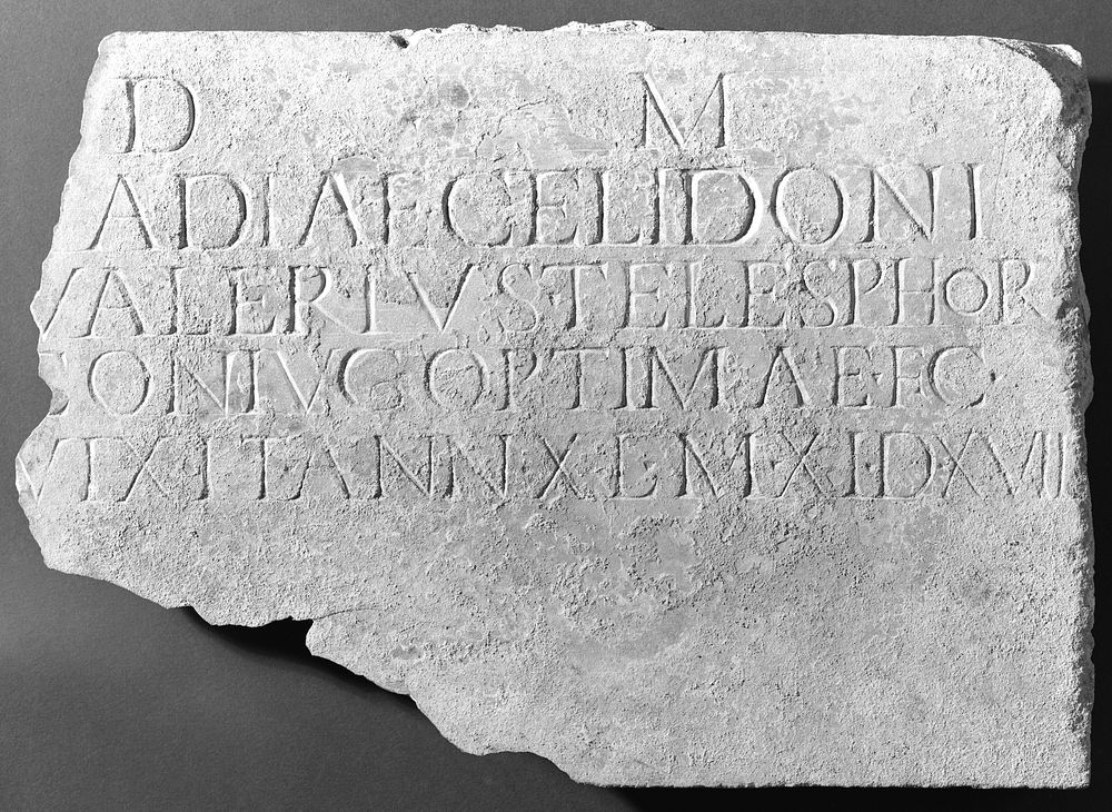 Latin Funerary Inscription Cut into the Reverse of a Fluted Pilaster Revetment
