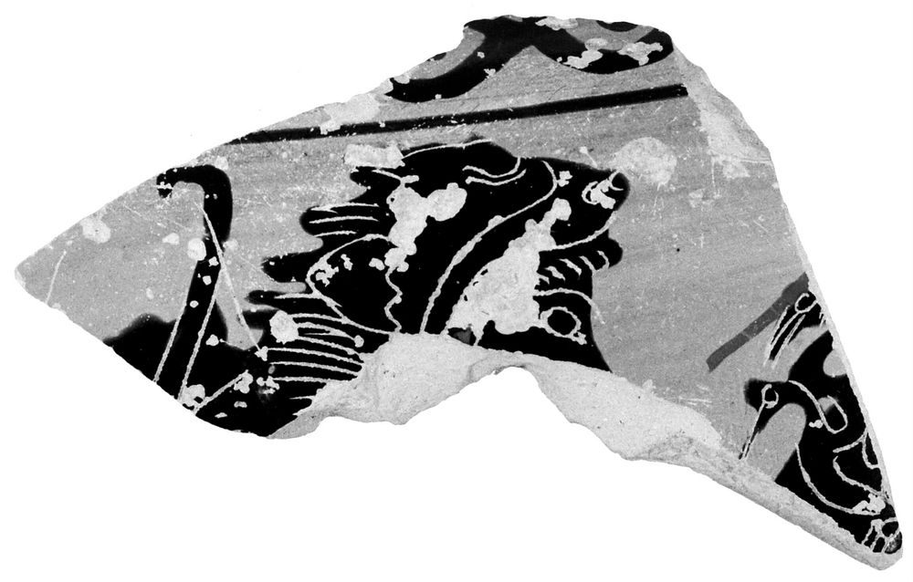One Fragment from an Attic Black-Figure Lekythos