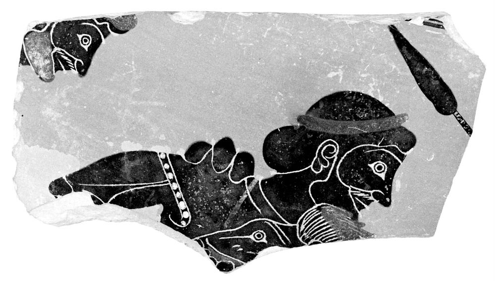One Fragment from an Attic Black-Figure Belly Amphora.