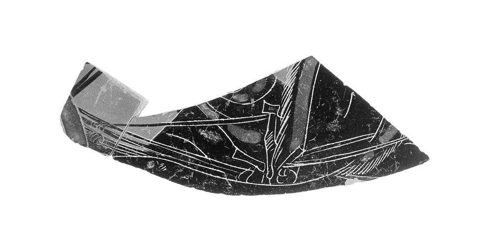 Attic Black-Figure Panel Amphora Fragments