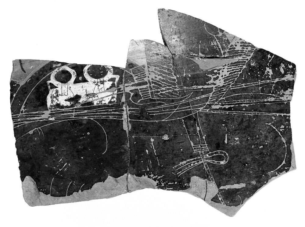 Attic Black-Figure Column Krater Fragment (comprised of 5 Joined Fragments)