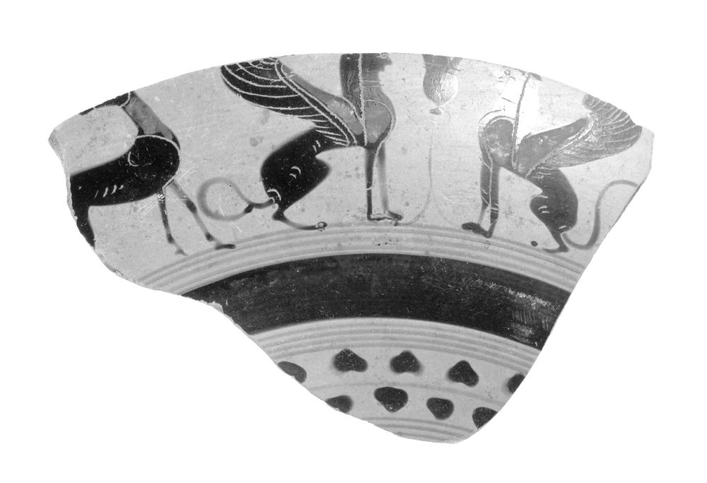 Attic Black-Figure Droop Cup Fragment