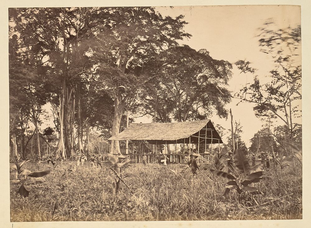 Workers in a plantation field