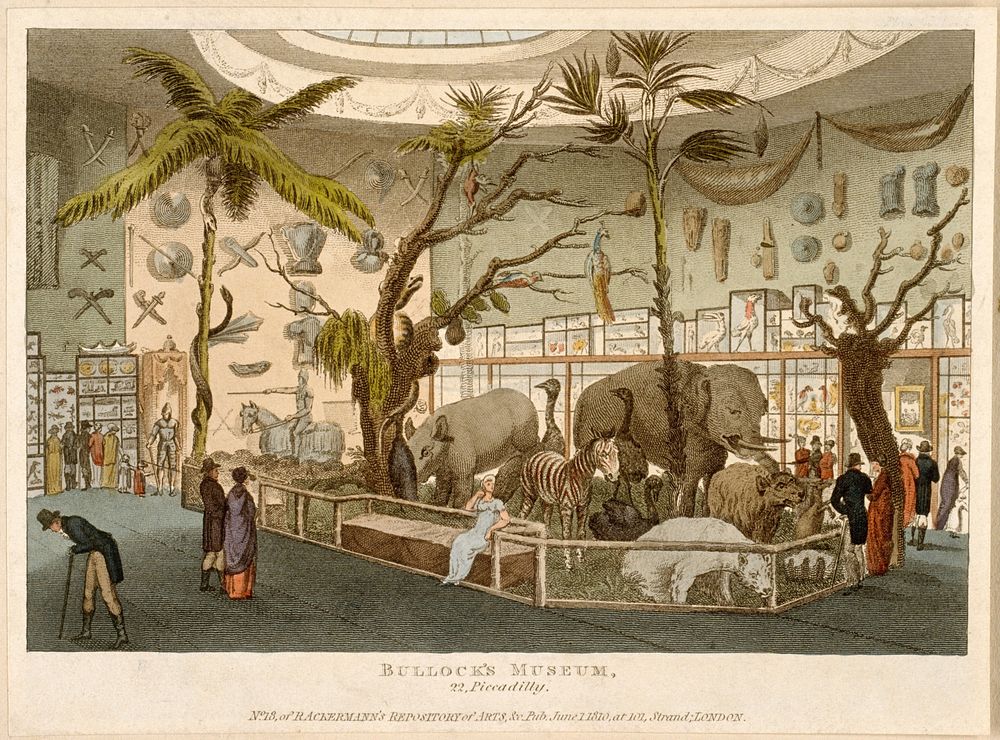 Bullock's Museum, (Egyptian Hall or London Museum), Piccadilly: the interior. Coloured aquatint, 1810.