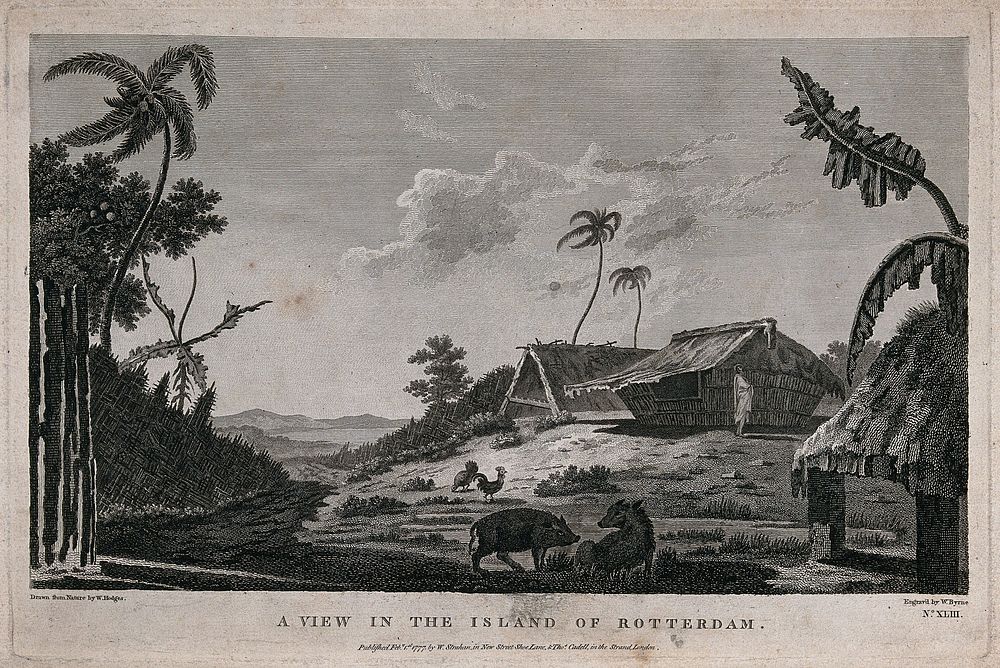 The island of Tongatapu (Tonga), visited by Cook on his second voyage, 1772-1775. Engraving by W. Byrne, 1777, after W.…