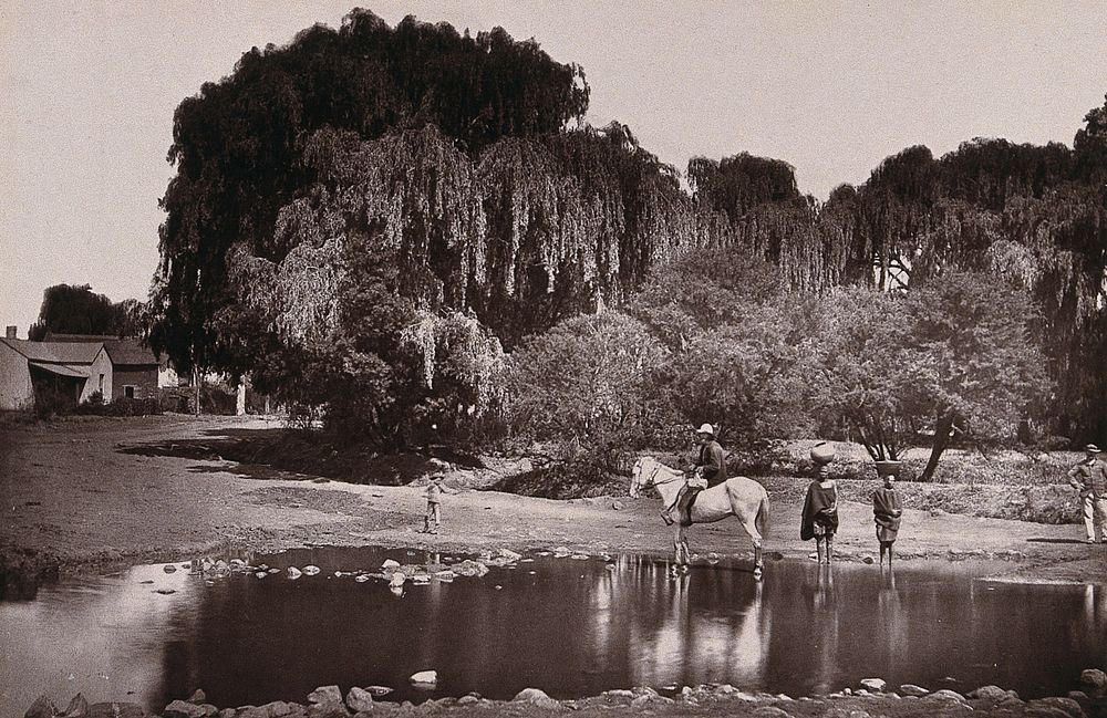 Pretoria, South Africa: a river and the entrance to the city on Middleburg Road. Woodburytype, 1888, after a photograph by…