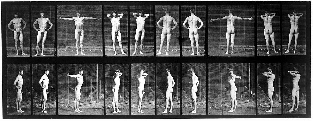 E. Muybridge "Animal locomotion", plate