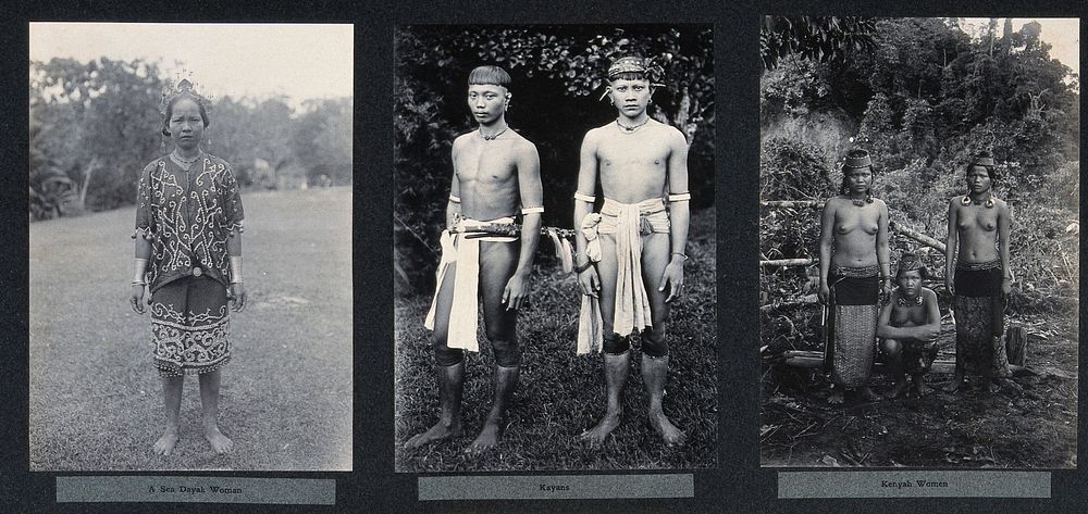 Sarawak: a Sea Dayak woman, two Kayan youths and three Kenyah women. Photograph.