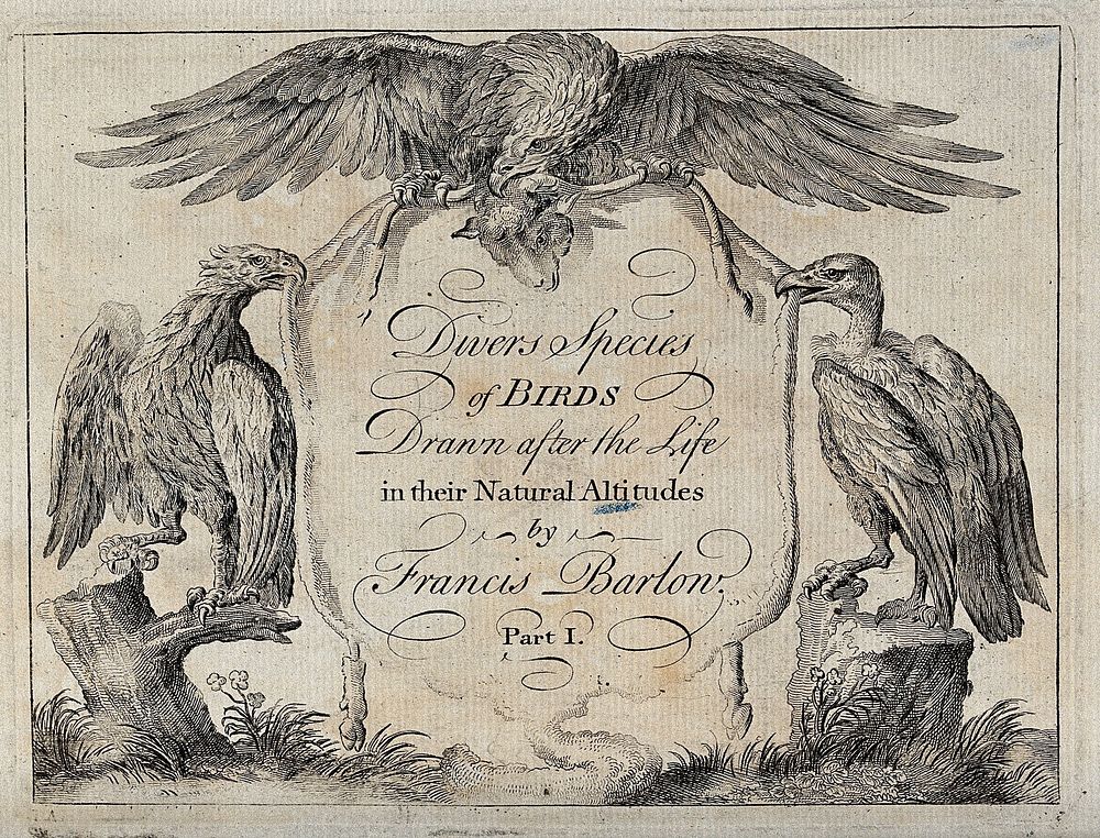 A title page illustrated with two eagles and a vulture holding a sheep's skin between them. Engraving, ca. 1690, after F.…