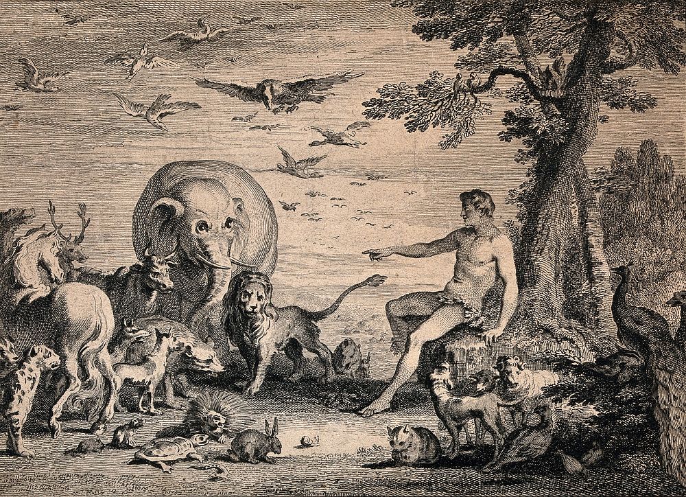 Adam naming the animals. Etching by G. Scotin and J. Cole after H. Gravelot and J.B. Chatelain, 1743.