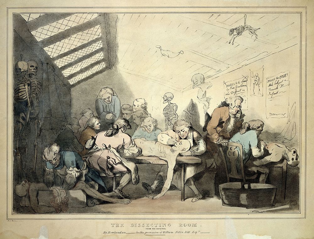Three anatomical dissections taking place in an attic. Coloured lithograph by T. C. Wilson after a pen and wash drawing by…