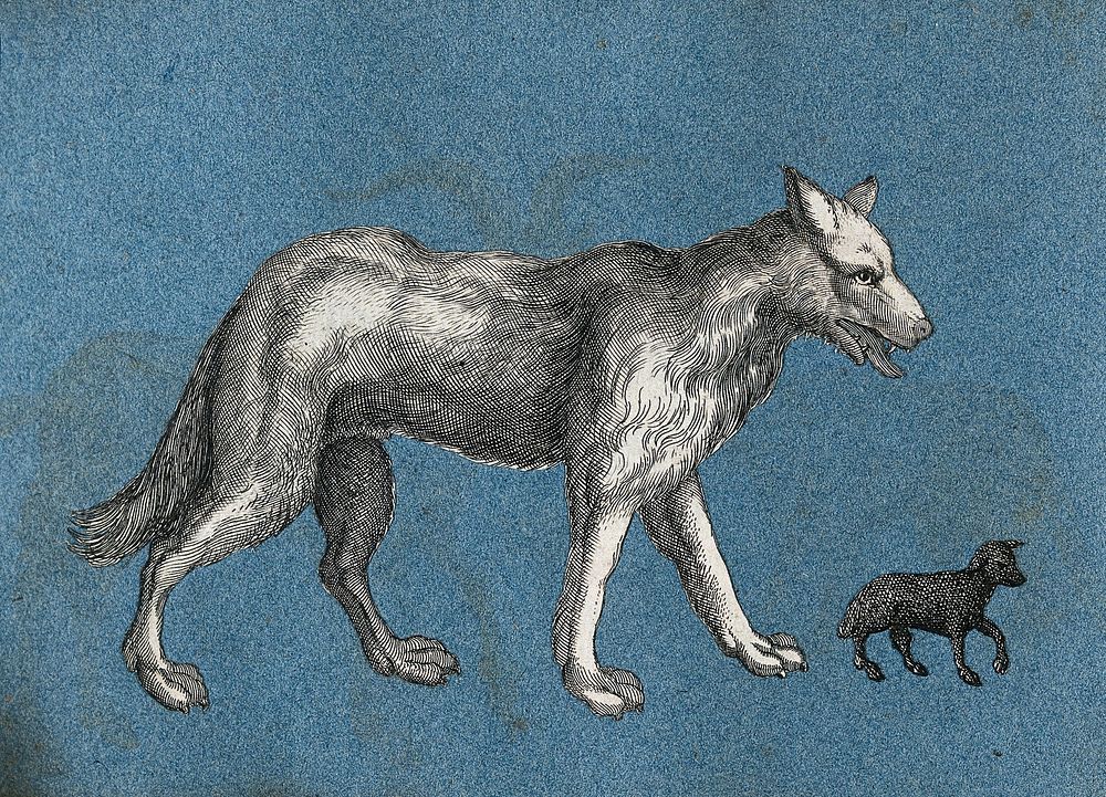 A wolf and a lamb. Cut-out engravings pasted onto paper, 16--.