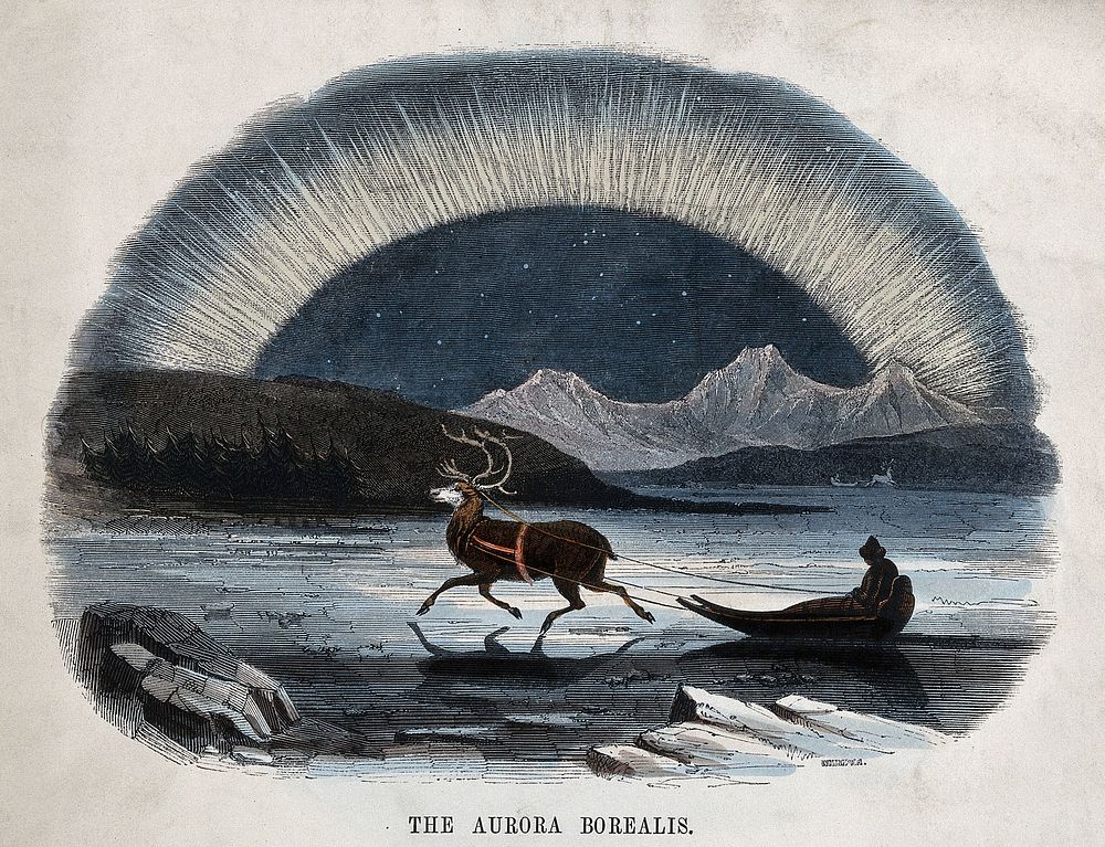 Astronomy: the Aurora Borealis, with a reindeer-drawn sledge in the foreground. Coloured wood engraving by C. Whymper.