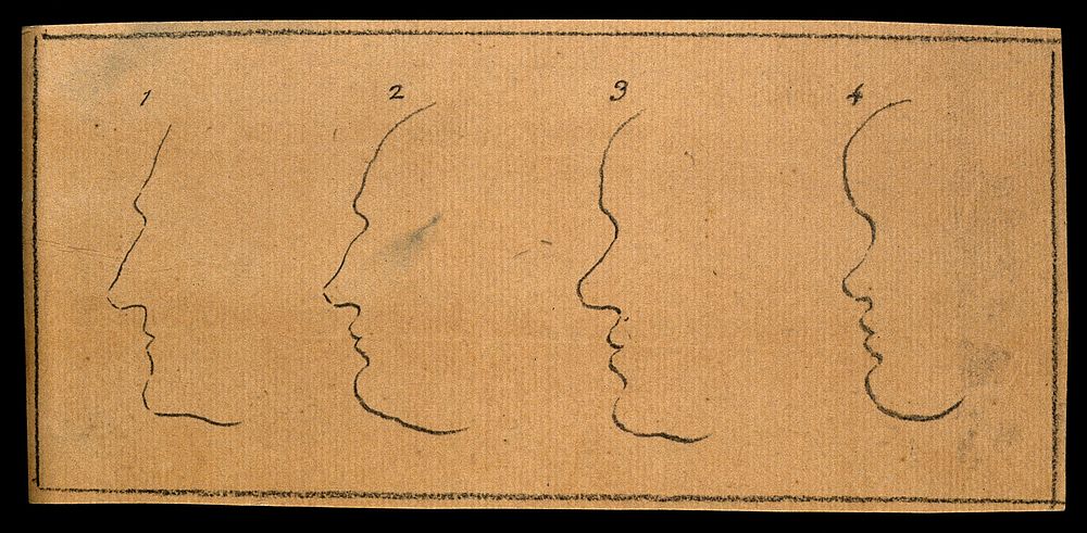 Outlines of faces: the left-hand pair expressing good judgment, the right-hand pair weakness of mind. Drawing, c. 1789.