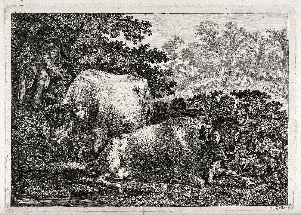 Two cows resting by a woodland pool as a boy pipes in the tree above. Etching by C.-W. Kolbe, the elder.