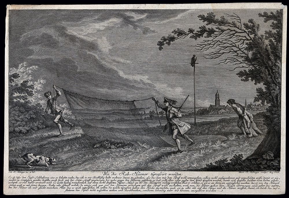 Three men in a field hunting partridge with the help of a hound, a net and a decoy. Etching by M.E. Ridinger after J.E.…