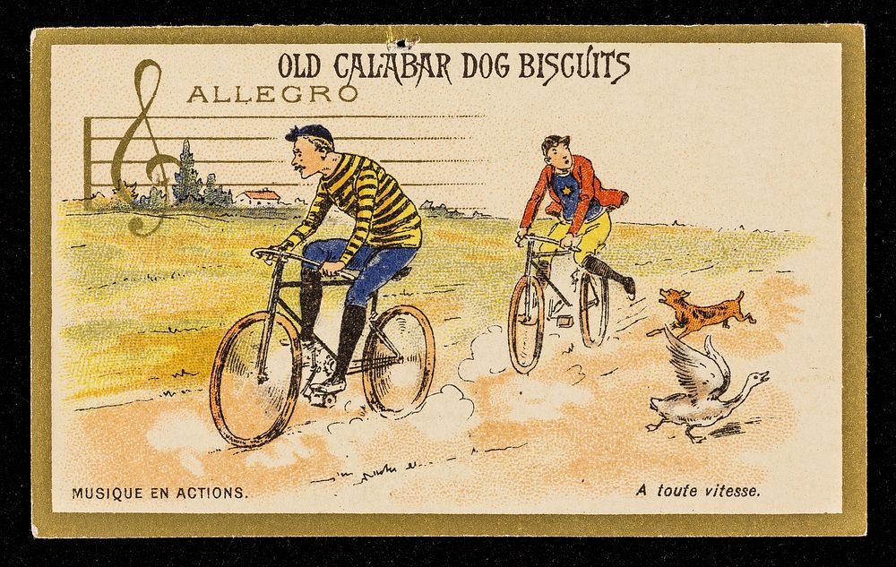 Old Calabar dog biscuits : allegro : à tout vitesse.