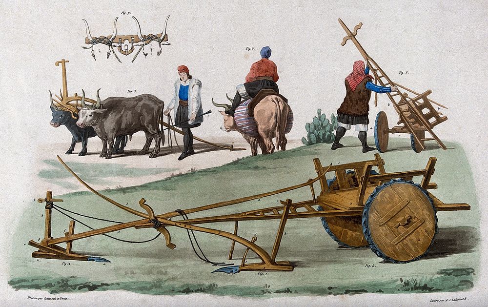 Agriculture: peasants, ploughs and carts of Sardinia. Coloured engraving by A.J. Lallemand after Gonin after Cominotti.
