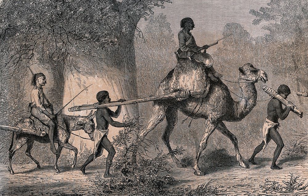 Slavery in the Sudan: people fastened at the neck to wooden clamps are being led away into slavery in Egypt. Wood engraving…