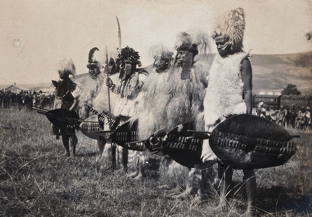 Natal, South Africa: African chiefs at a Zulu wedding at Henley. Photograph by Agnes Henderson, Mrs G.G. Henderson, 1905.