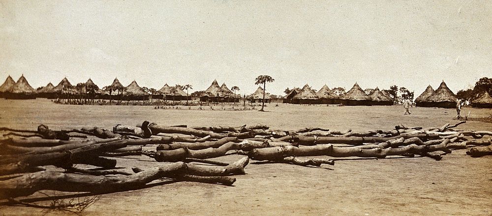 Yei, Uganda: a sleeping sickness camp: grass-roofed huts and logs in the foreground. Photograph, 1900/1910.