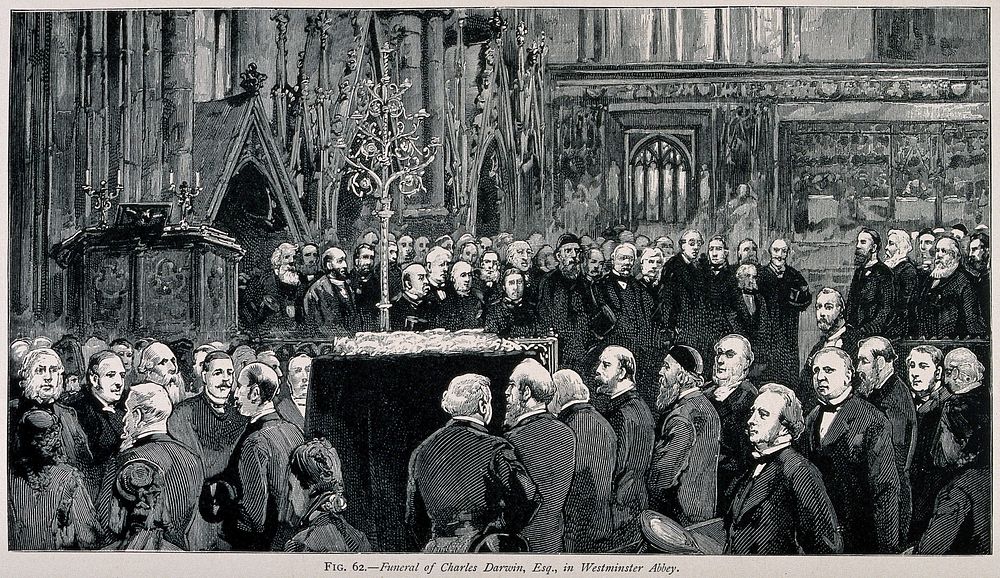 The funeral ceremony of Charles Darwin at Westminster Abbey, 26 April 1882. Wood engraving.
