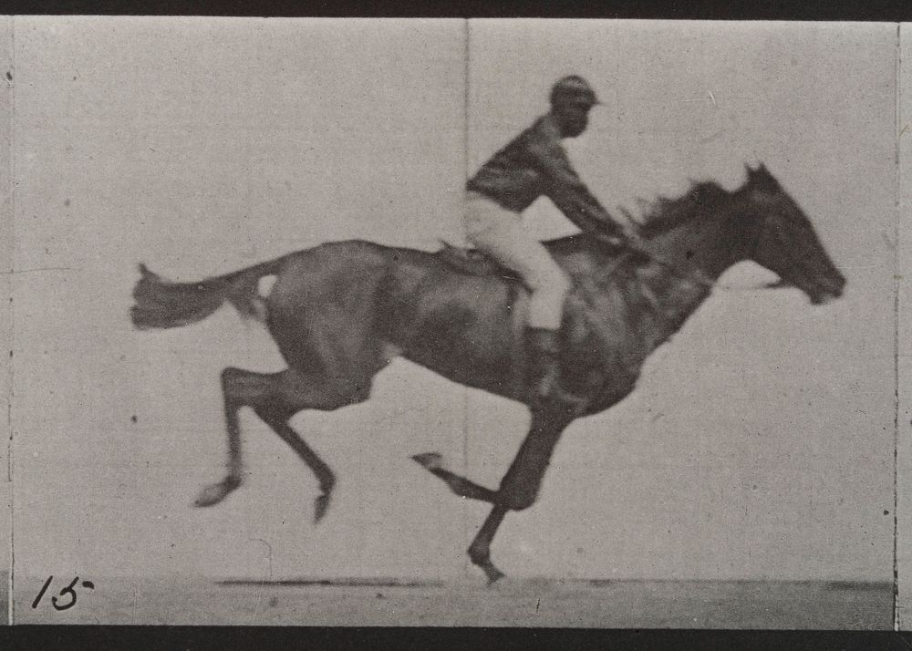 A galloping horse and rider. Collotype after Eadweard Muybridge, 1887.