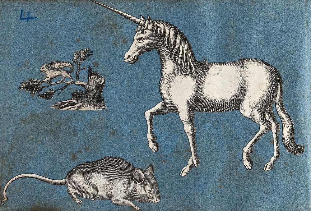 A unicorn, a squirrel and a mouse. Cut-out engravings pasted onto paper, 16--.