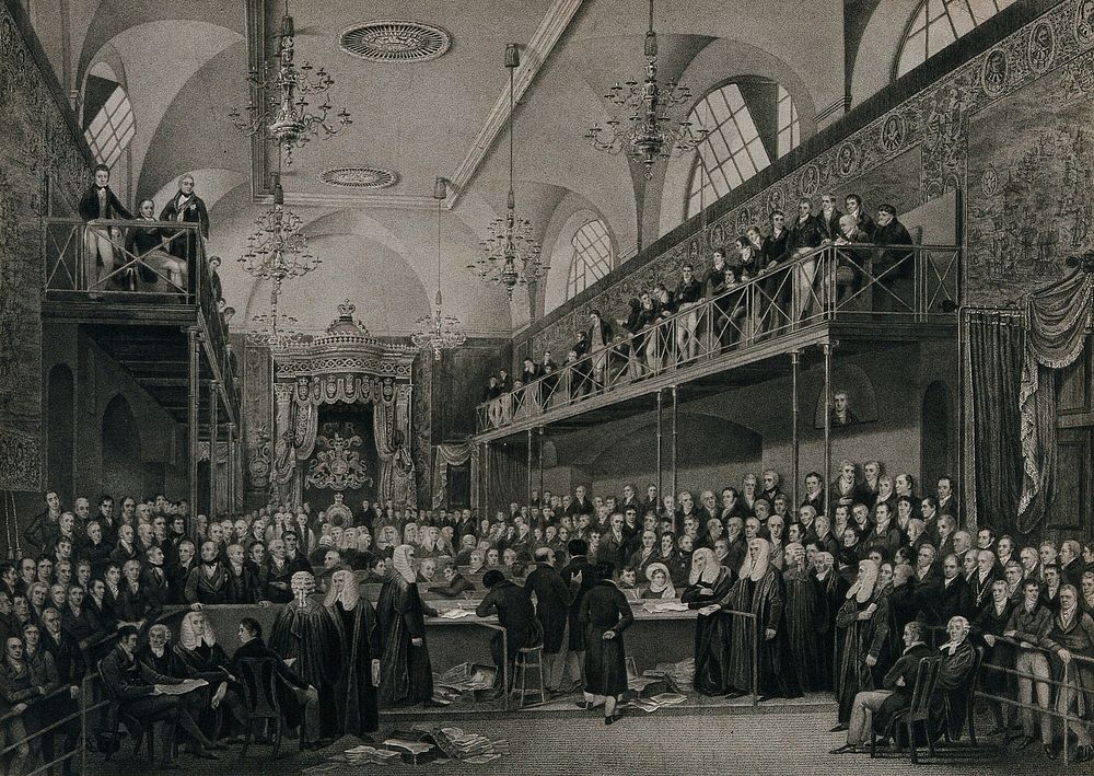 Interior of the House of Lords during a public inquiry into Queen Caroline in 1820. Stipple engraving by J. G. Murray after…