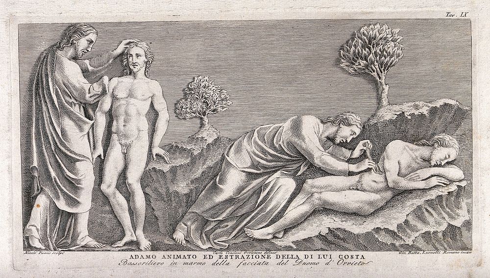God animates Adam and operates on his rib. Etching by G.B. Leonetti after C. Cencioni after Nicola Pisano.