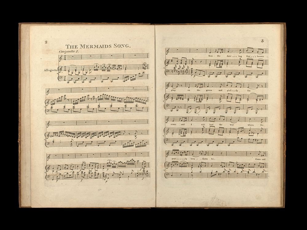 Dr. Haydn's VI original canzonettas : for the voice with accompaniment for the pianoforte dedicated to Mrs John Hunter.