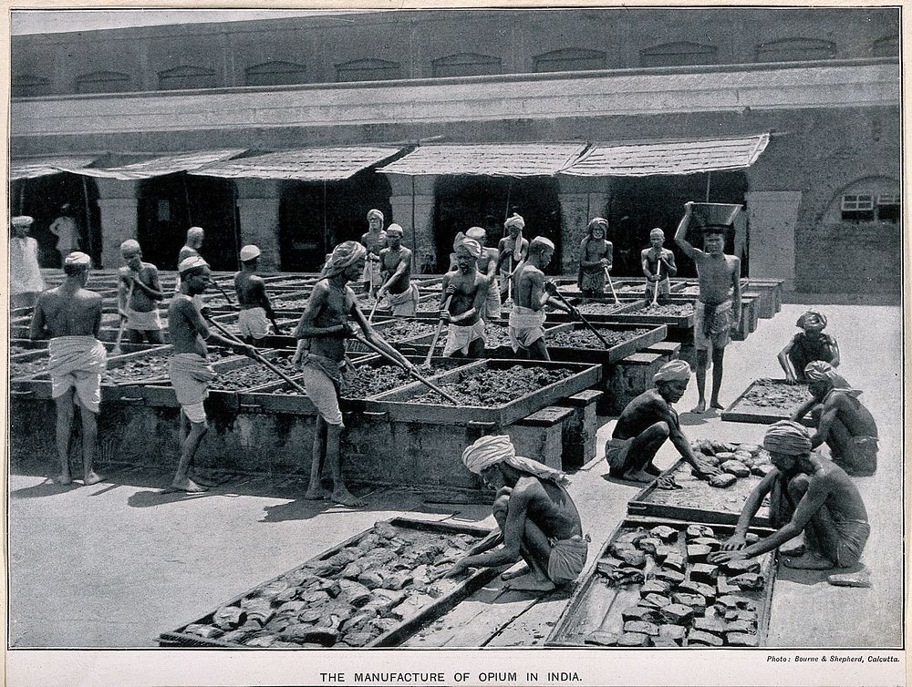 Indian workmen mixing and balling opium in a courtyard in Calcutta. Process print after a photograph by Bourne & Shepherd…