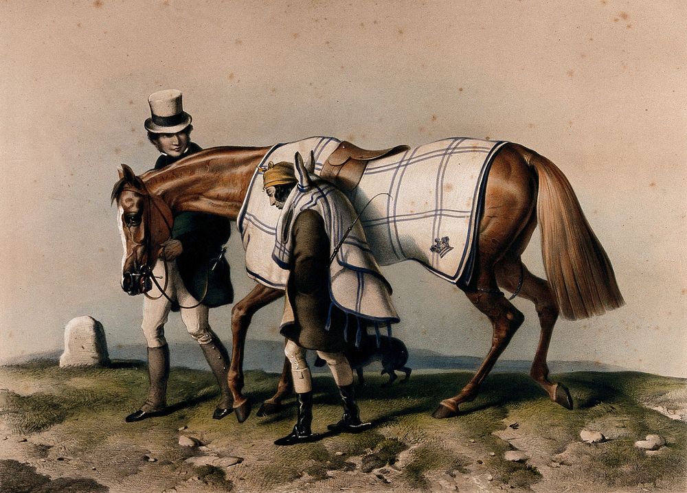 A sick horse, representing the baneful effects of protection of trade. Coloured lithograph by J. West Giles after Sir E.…