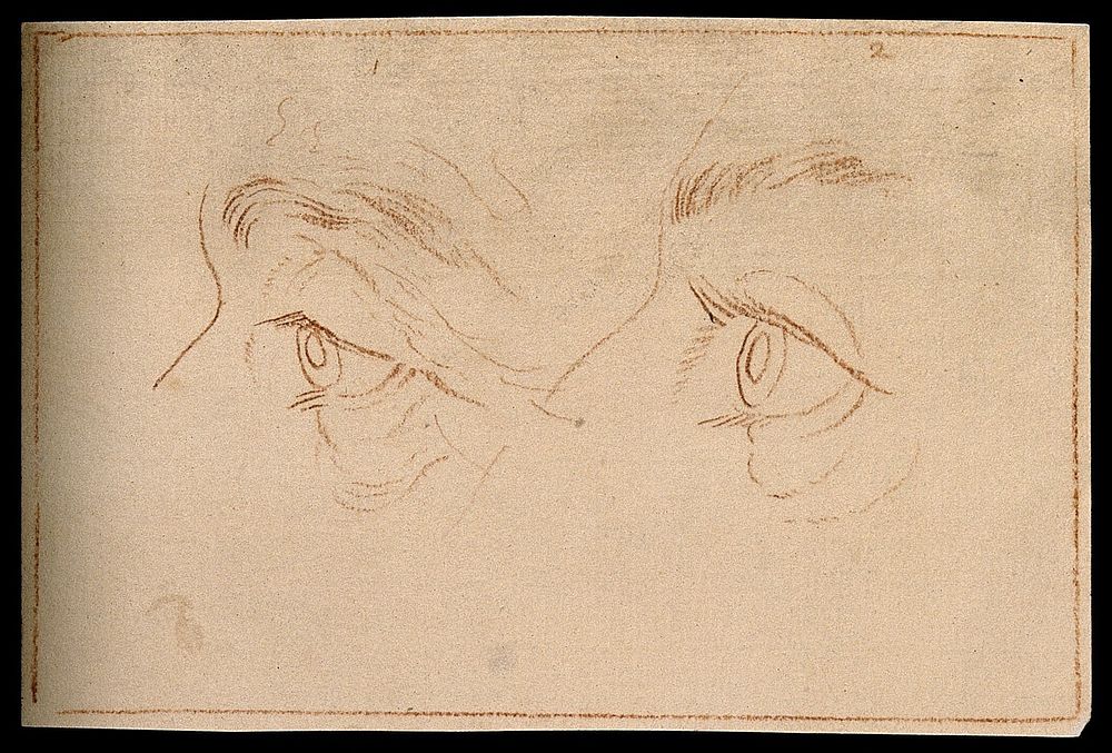 Left eyes of two men. Drawing, c. 1794.