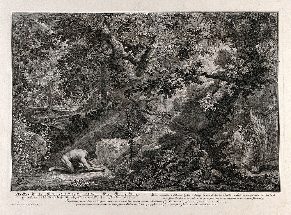 Adam prays in the Garden of Eden. Etching by J.E. Ridinger after himself, c. 1750.