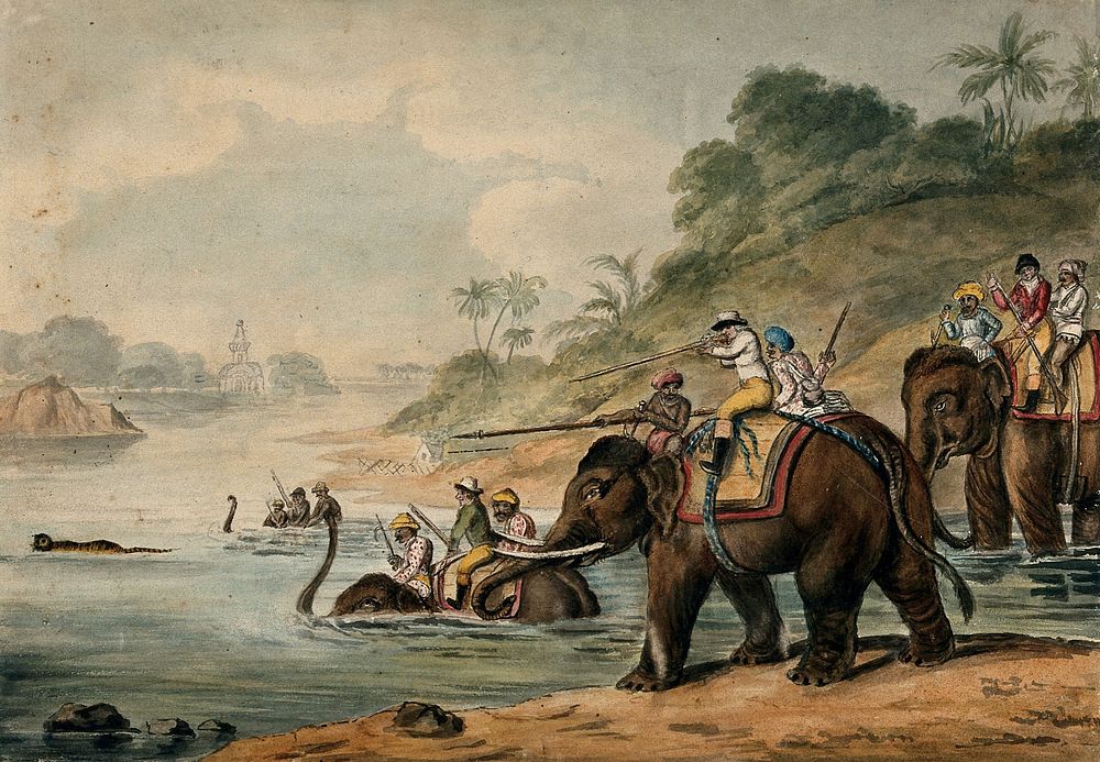 Tiger hunting in India: men riding elephants shoot at a tiger that tries to escape by swimming across a river. Watercolour…