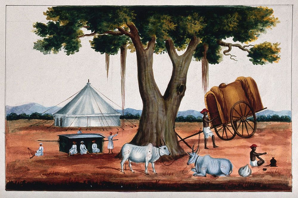 A man resting his ox and cart under a tree along with other carriage bearers. Gouache painting by an Indian painter.