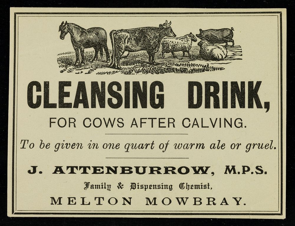 Cleansing drink for cows after calving : to be given in one quart of warm ale or gruel / J. Attenburrow.