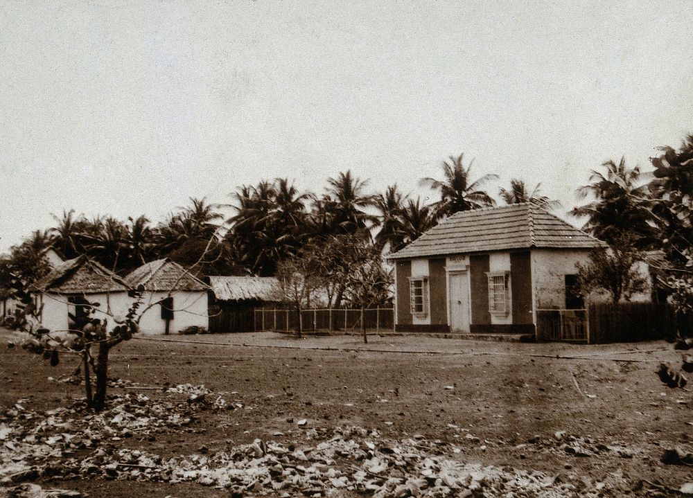 Providencia Island, Venezuela: houses for leprosy sufferers. Photograph, 1890/1910.