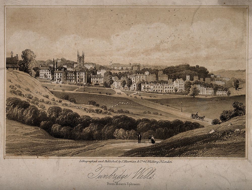 Tunbridge Wells, Kent: panoramic view from Mount Emphraim. Tinted lithograph.