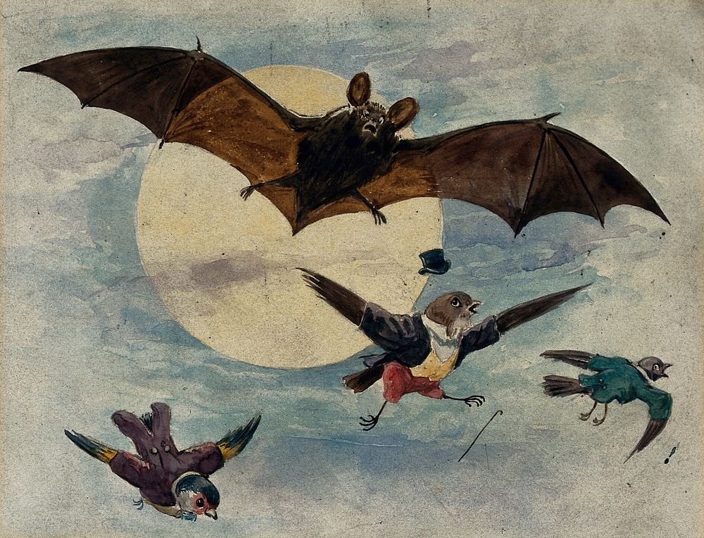 A bat and three fully dressed birds flying by moonlight. Watercolour by G. Hope Tait, ca. 1900.
