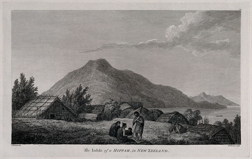 A Maori village (a hippah or pa) in New Zealand visited by Captain Cook during his third voyage, 1776-1780. Engraving by…