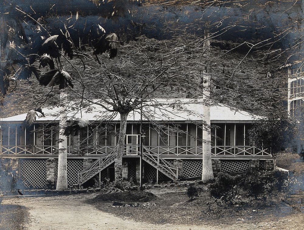 Ancon, Panama Canal Zone: a French house with a screened-in porch. Photograph, ca. 1910.
