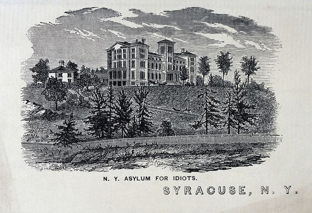 The New-York State Asylum for Idiots, Syracuse. Wood engraving.