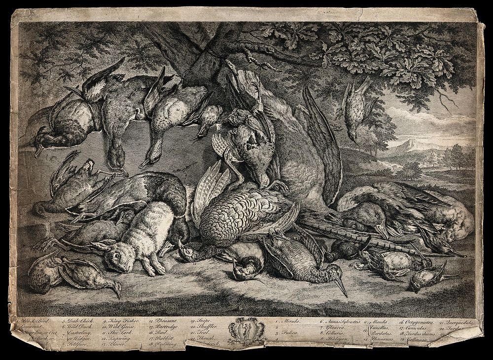 Game animals, birds and waterfowl (23 varieties), lying dead on the ground beneath an oak tree, in a pastoral setting.…