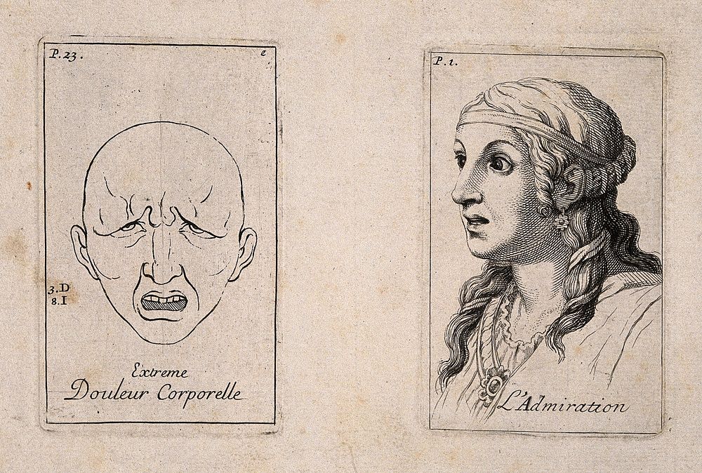 Outline of a face in extreme pain (left); a woman's head, showing admiration. Etching by B. Picart, 1713, after C. Le Brun.