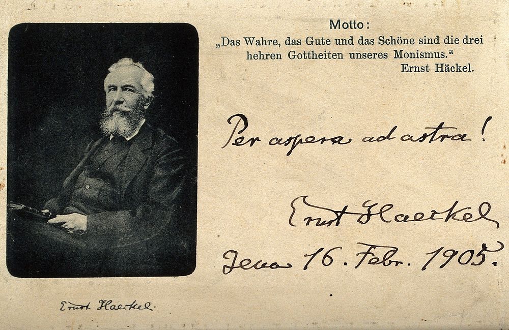 Ernst Heinrich Philipp August Haeckel. Process print, 1905.