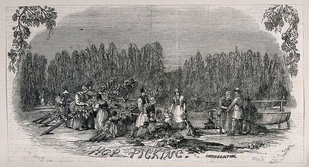 Hop pickers at work. Wood-engraving, c. 1843 .